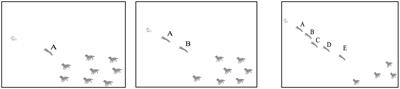 Individualistic and collective causal knowledge structures for understanding sequential and emergent processes